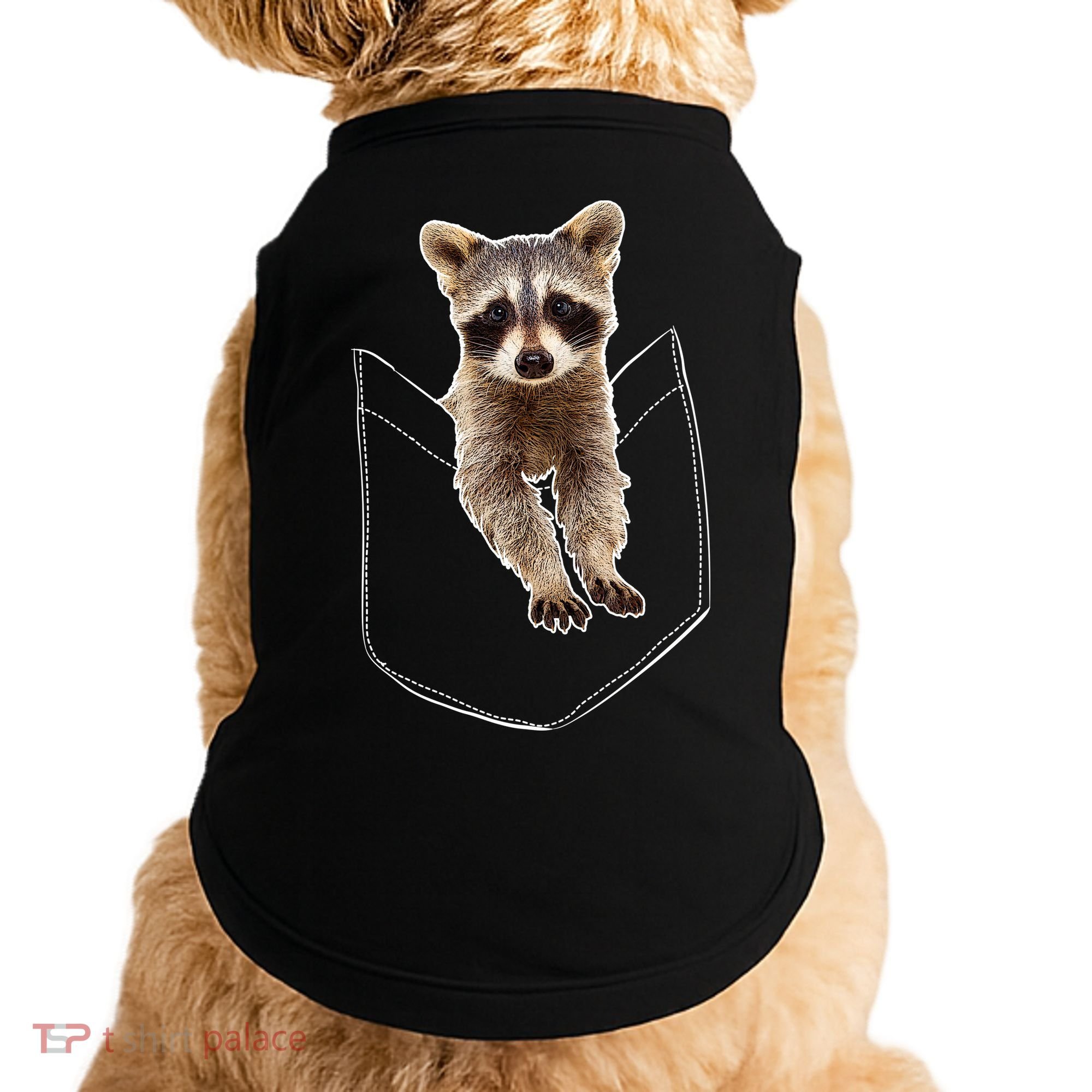 Cute Baby Raccoon In A Pocket Doggie Tank