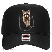 Cute Baby Raccoon In A Pocket Hat thumb 0