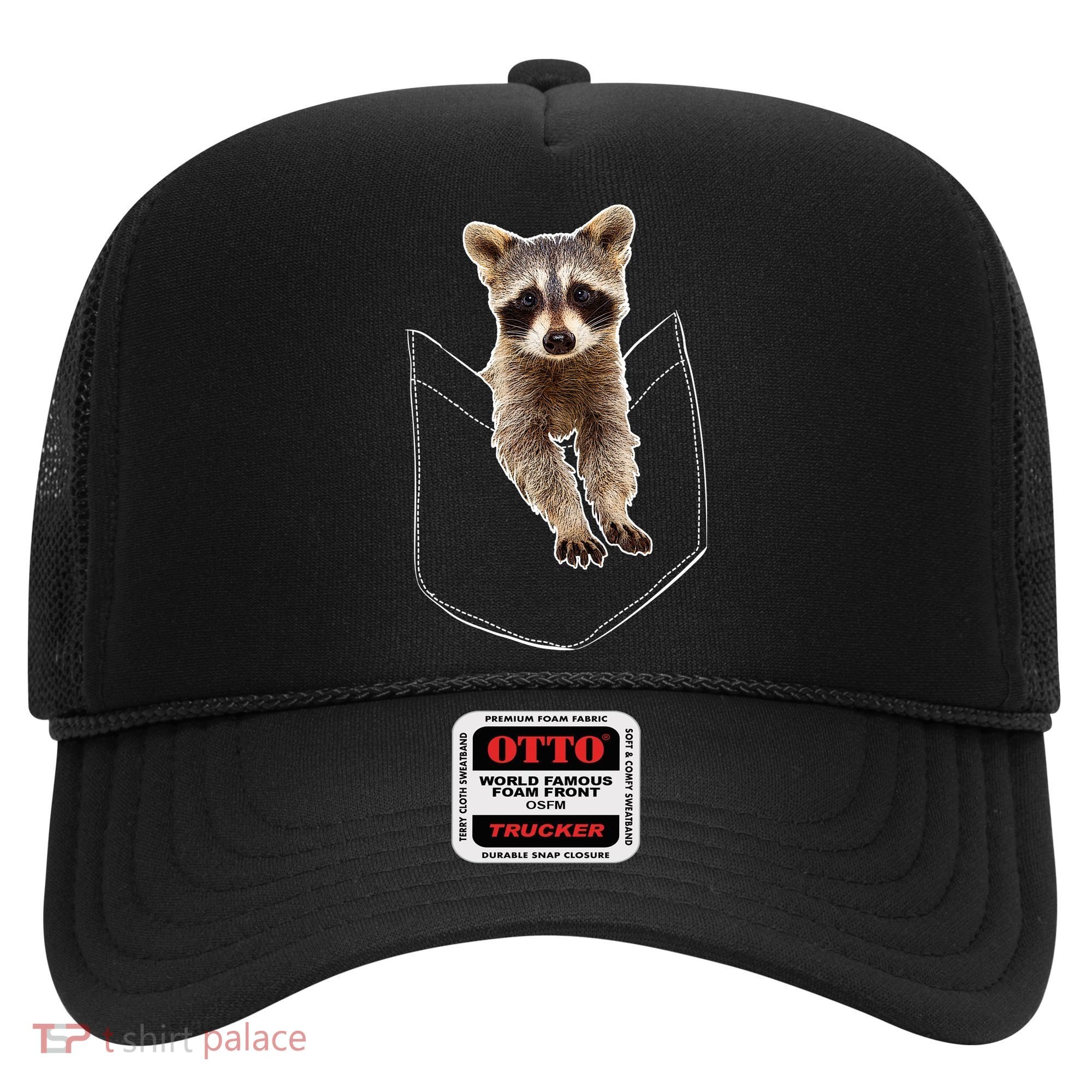 Cute Baby Raccoon In A Pocket Hat