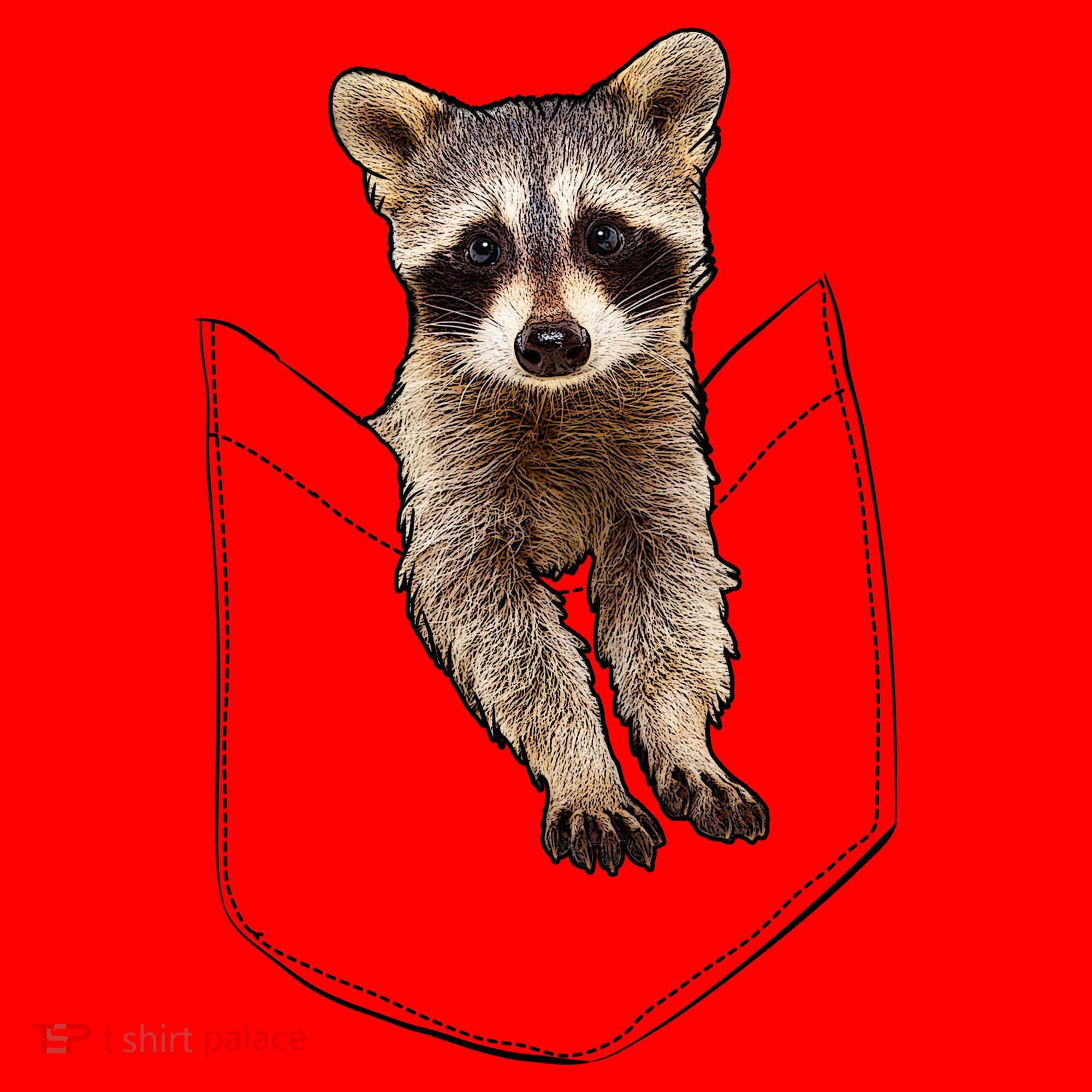 Cute Baby Raccoon In A Pocket Santa Hat
