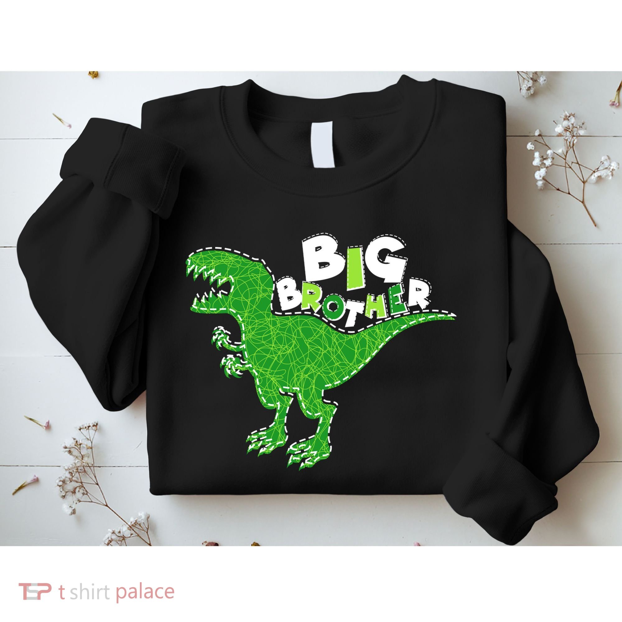 Cute Big Brother T-Rex Dinosaur Sweatshirt