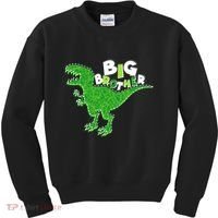 Cute Big Brother T-Rex Dinosaur Kids Sweatshirt thumb 0