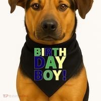 Cute Birthday Boy! USA-Made Doggie Bandana thumb 1