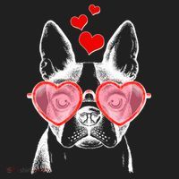 Cute Boston Terrier Women's Sweatshirt thumb 2