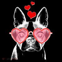 Cute Boston Terrier Ornament thumb 1