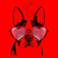 Cute Boston Terrier Santa Hat thumb 1