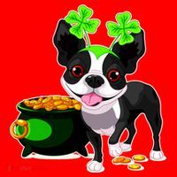 Cute Boston Terrier Shamrock St. Patrick's Day Santa Hat thumb 1