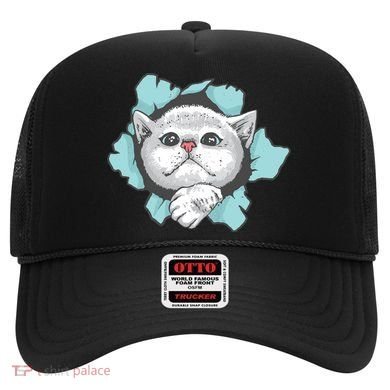 Cute Cat Through Hole Hat