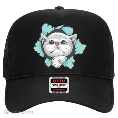 Cute Cat Through Hole Hat