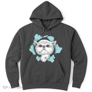 Cute Cat Through Hole Hoodie