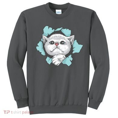 Cute Cat Through Hole Sweatshirt