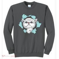 Cute Cat Through Hole Sweatshirt thumb 0
