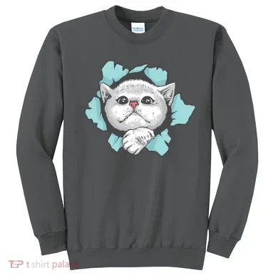 Cute Cat Through Hole Sweatshirt