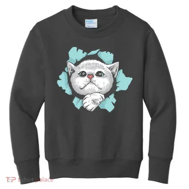Cute Cat Through Hole Kids Sweatshirt