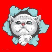 Cute Cat Through Hole Santa Hat thumb 1