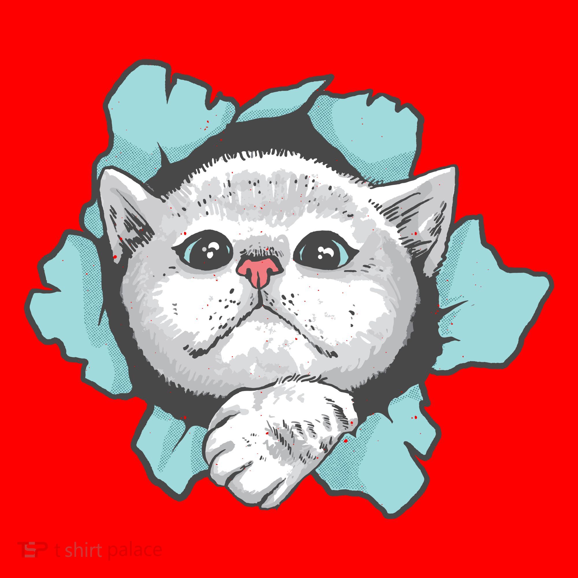 Cute Cat Through Hole Santa Hat