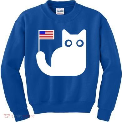 Cute Cat USA Tail Flag Kids Sweatshirt