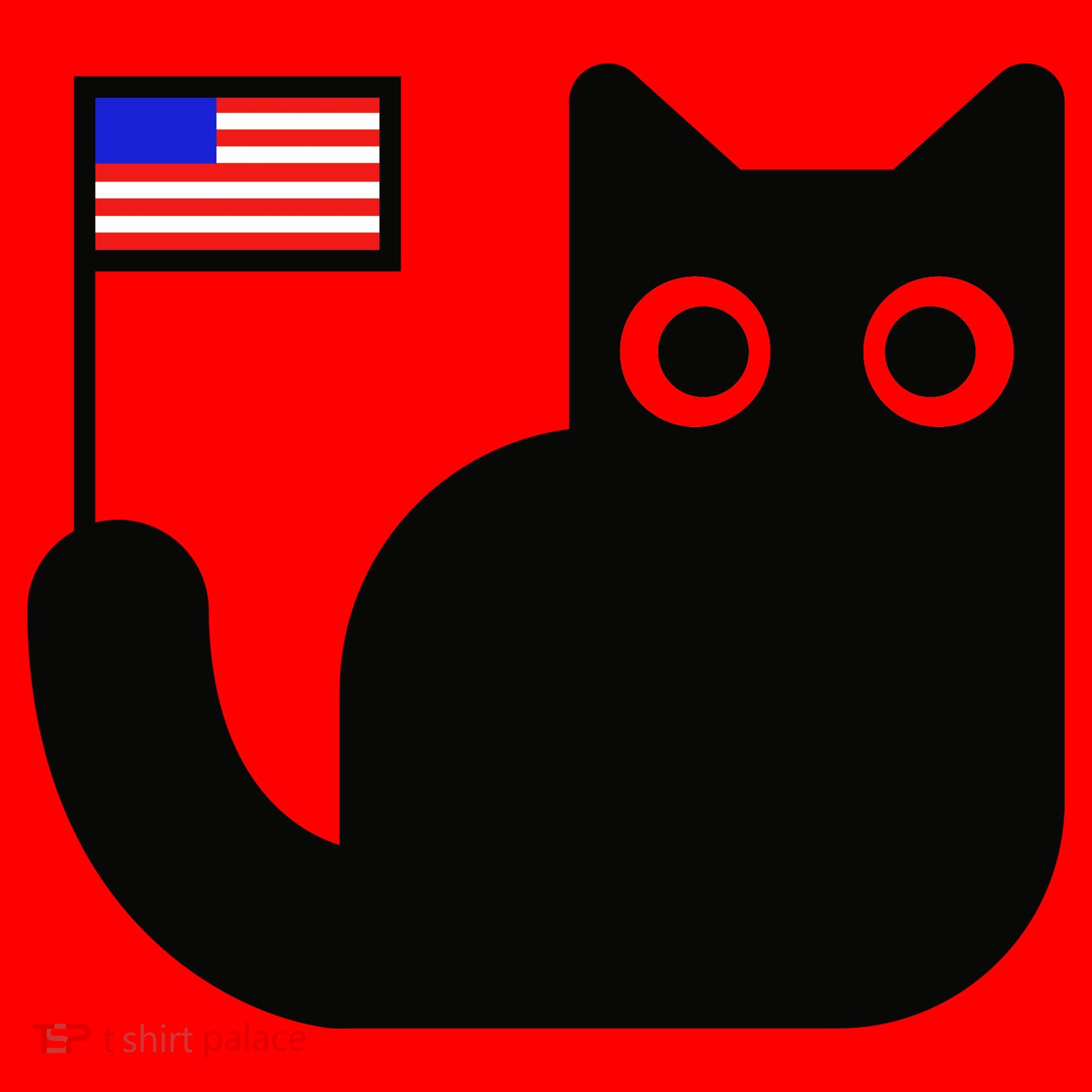 Cute Cat USA Tail Flag Santa Hat