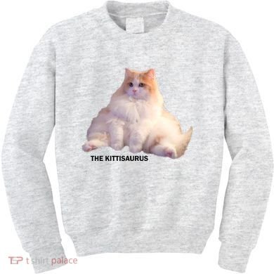 Cute DD The Cat Kittisaurus Kids Sweatshirt