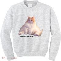 Cute DD The Cat Kittisaurus Kids Sweatshirt thumb 0