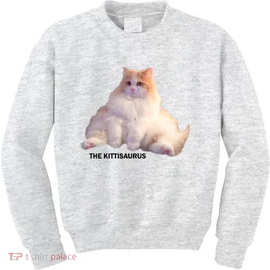 Cute DD The Cat Kittisaurus Kids Sweatshirt