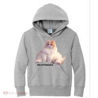 Cute DD The Cat Kittisaurus Kids Hoodie thumb 0