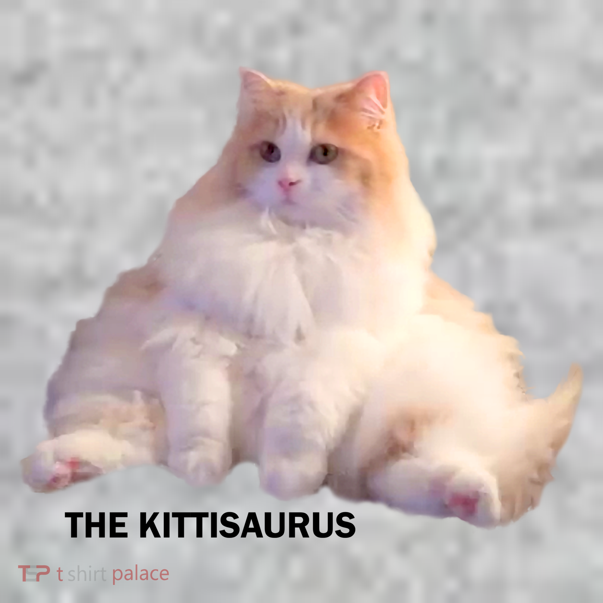 Cute DD The Cat Kittisaurus Kids Hoodie