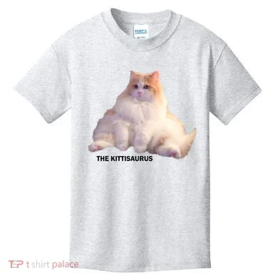 Cute DD The Cat Kittisaurus Kids T-Shirt