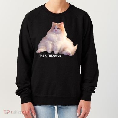 Cute DD The Cat Kittisaurus Women's Sweatshirt