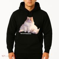 Cute DD The Cat Kittisaurus Hoodie thumb 2