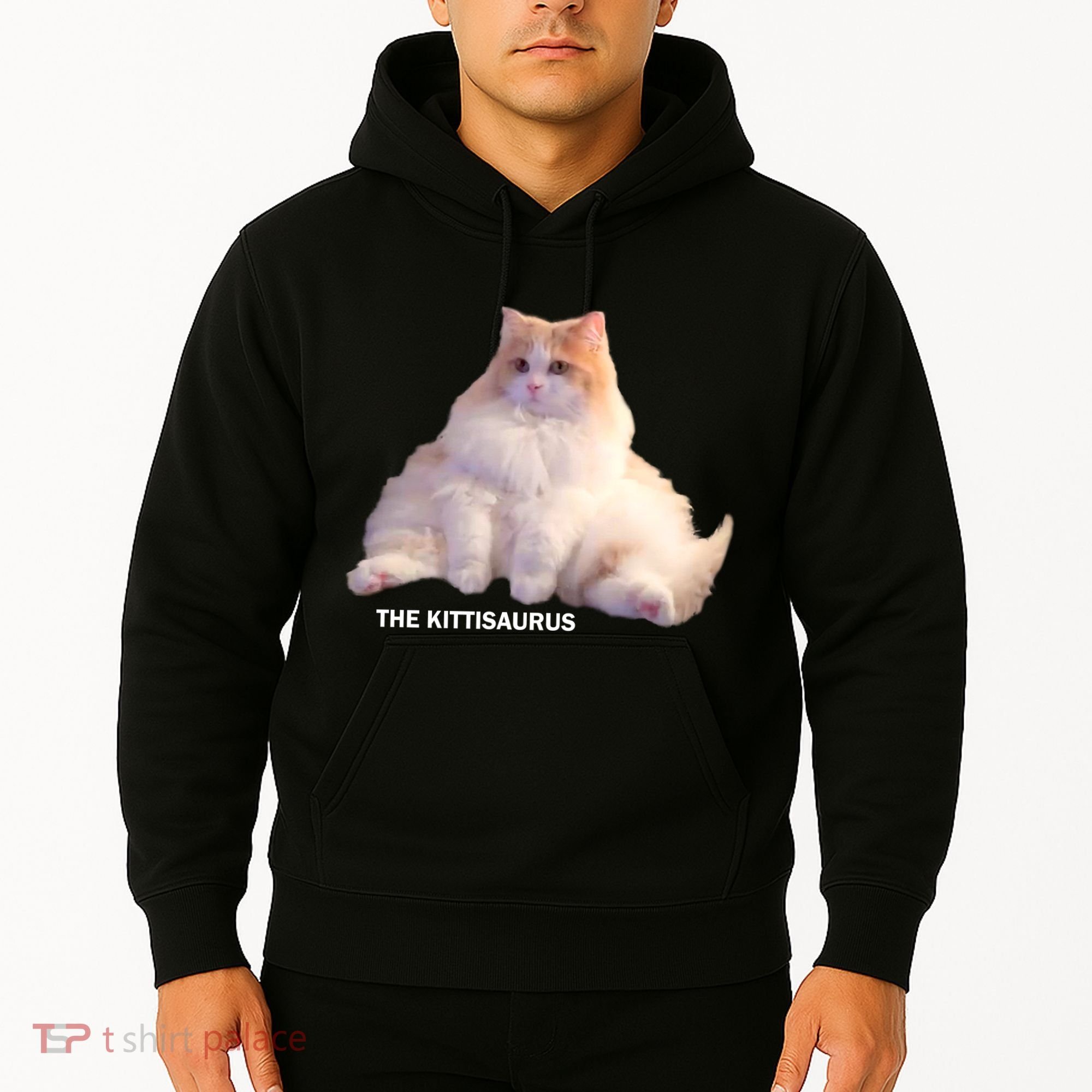 Cute DD The Cat Kittisaurus Hoodie