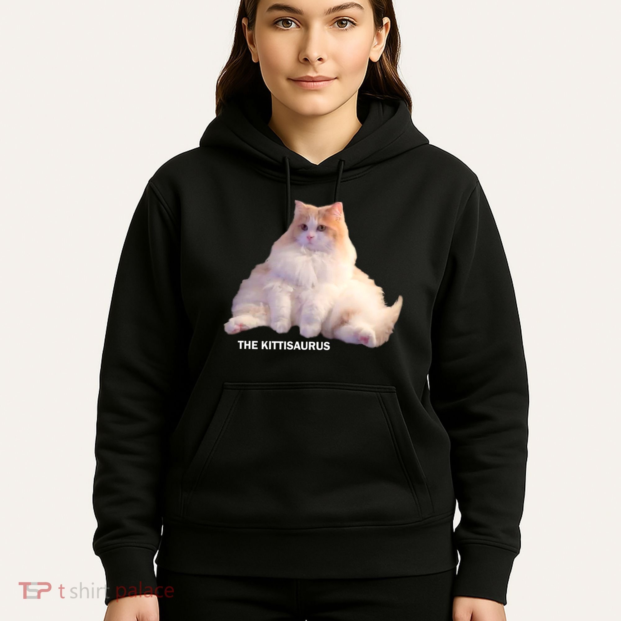 Cute DD The Cat Kittisaurus Hoodie