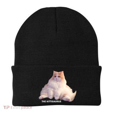 Cute DD The Cat Kittisaurus Beanie