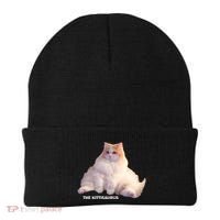 Cute DD The Cat Kittisaurus Beanie thumb 0