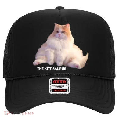 Cute DD The Cat Kittisaurus Hat