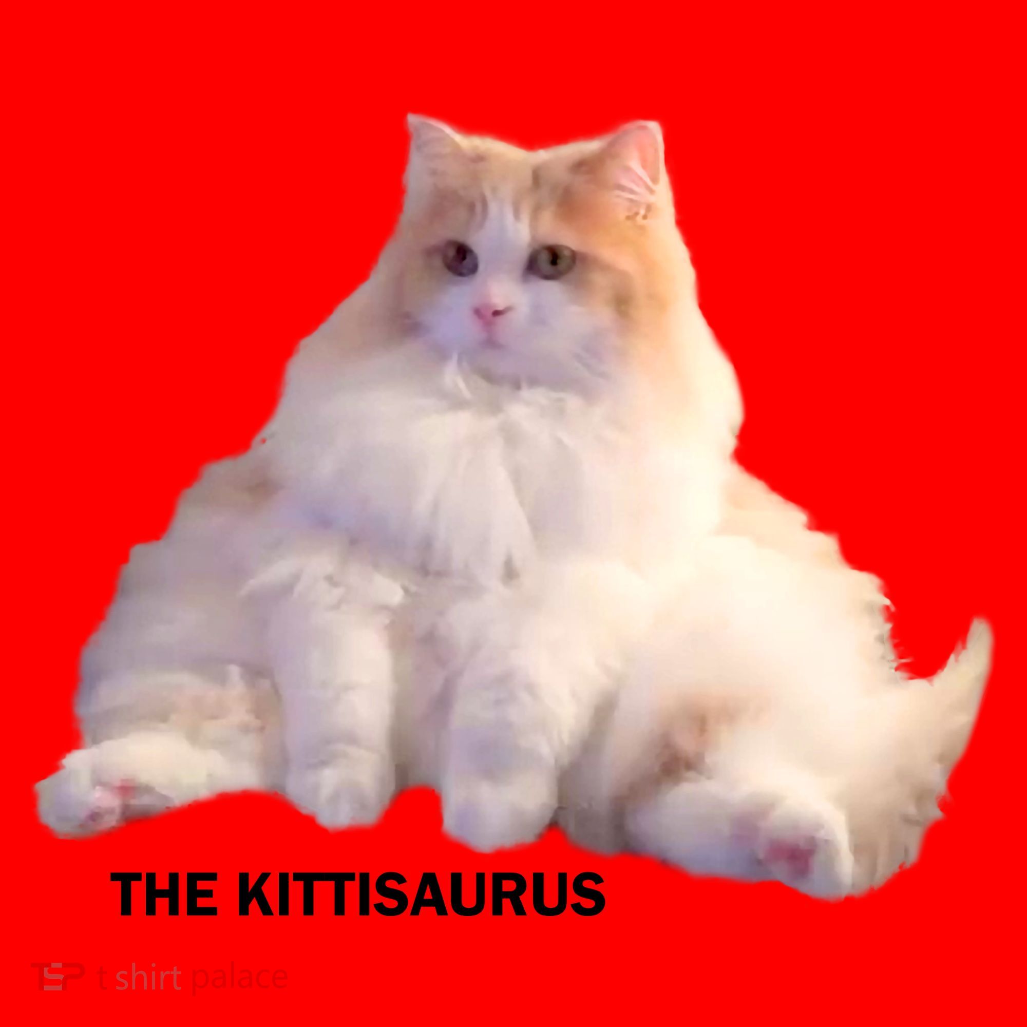 Cute DD The Cat Kittisaurus Santa Hat