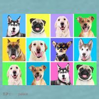 Cute Dogs Portrait Sueded Cloud Jersey T-Shirt thumb 2