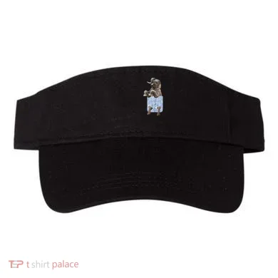Visor