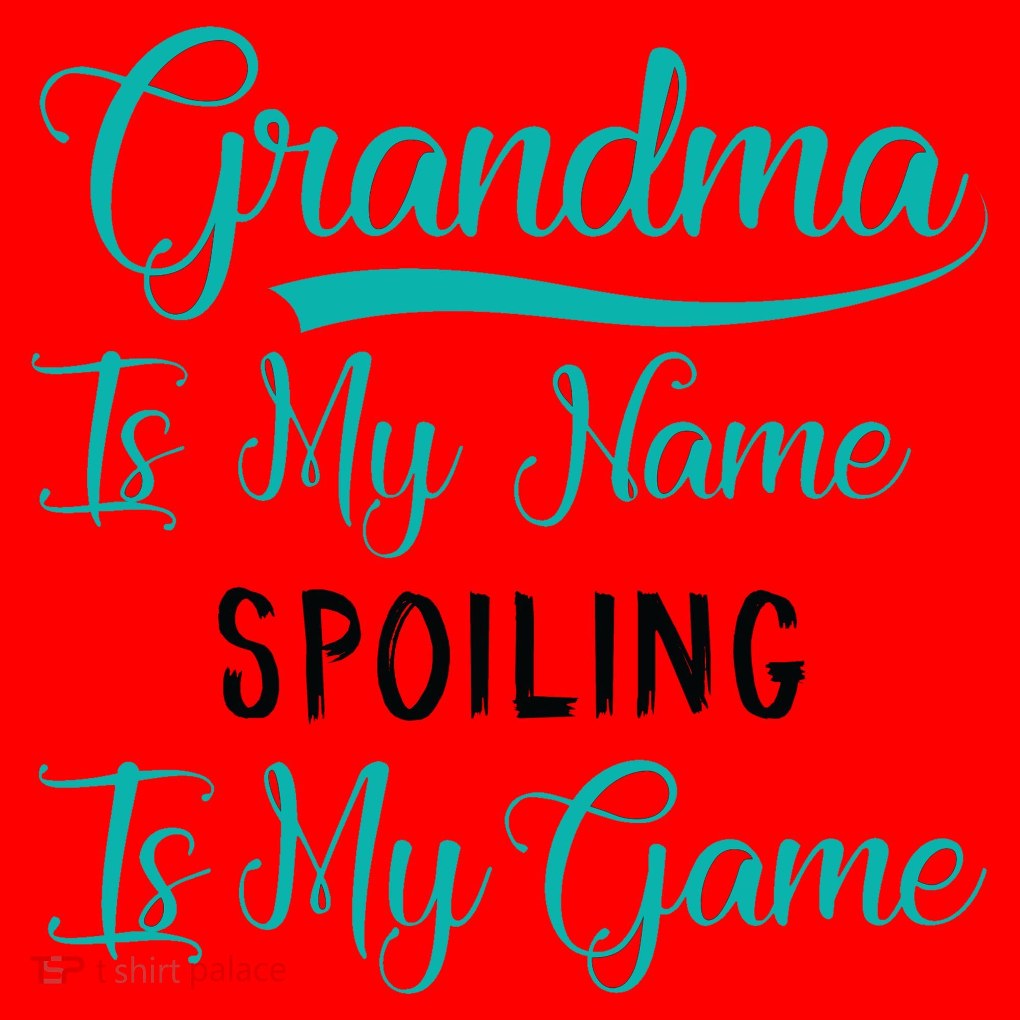 Cute Funny Grandma Is My Name Spoiling Is My Game Santa Hat