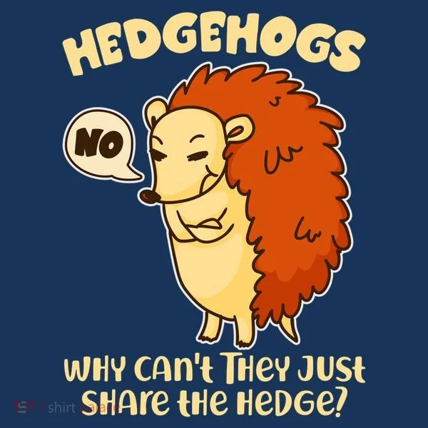 Cute Funny Hedgehogs Why Can't They Just Share the Hedge? Hoodie