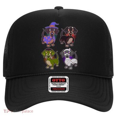 Cute Halloween Dachshunds  Hat