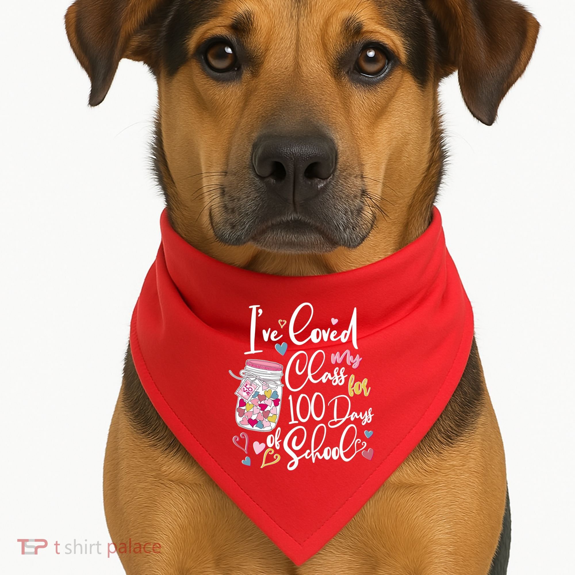 Cute I Loved My Class for 100 Days of School Valentine's Day USA-Made Doggie Bandana