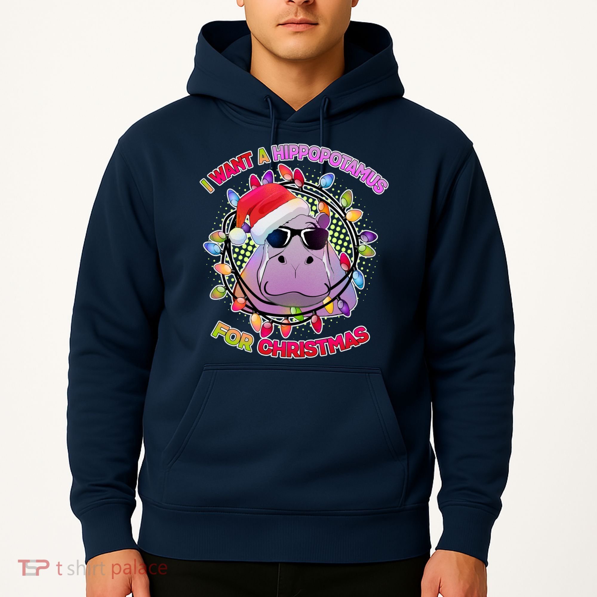 Cute I Want A Hippopotamus for Christmas Lights Hoodie