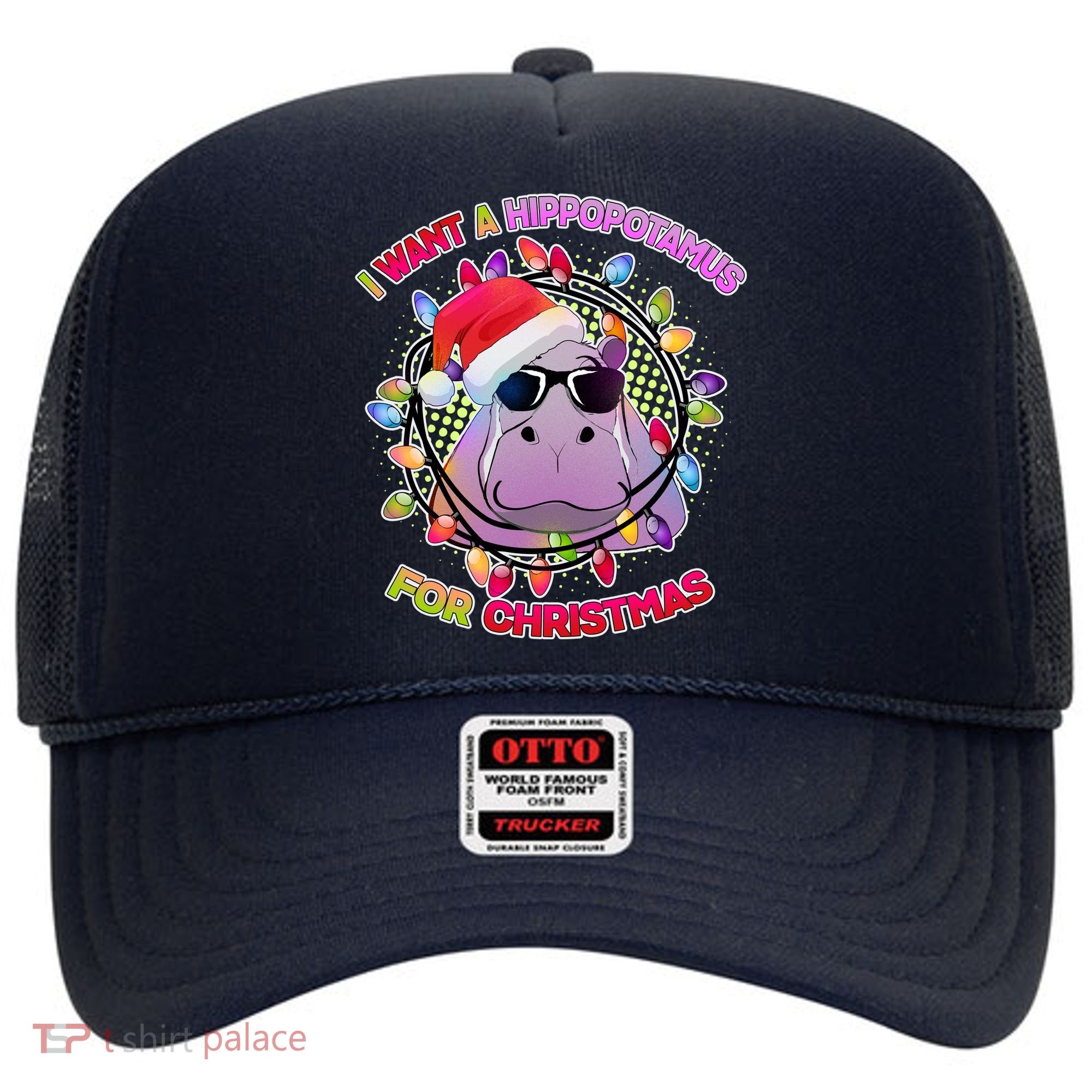 Cute I Want A Hippopotamus for Christmas Lights Hat