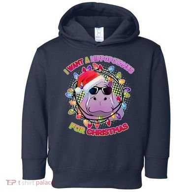 Cute I Want A Hippopotamus for Christmas Lights Toddler Hoodie
