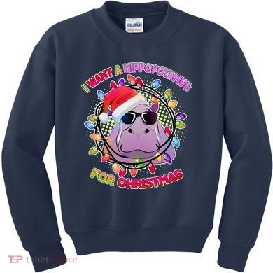 Cute I Want A Hippopotamus for Christmas Lights Kids Sweatshirt