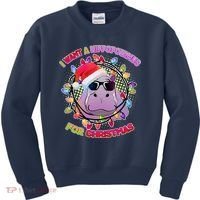 Cute I Want A Hippopotamus for Christmas Lights Kids Sweatshirt thumb 0
