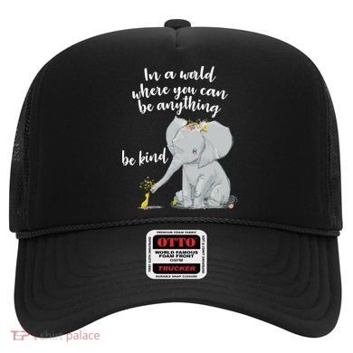 Cute Inspiring Be Anything Be Kind Hat