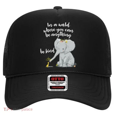 Cute Inspiring Be Anything Be Kind Hat