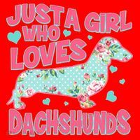 Cute Just A Girl Who Loves Dachshunds Santa Hat thumb 1